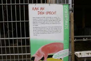 Infotafel zur Schweinemast