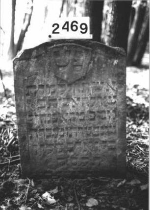 Grabstein 2469