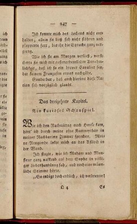 Das dreizehnte Kapitel. Ein kurioses Schauspiel.