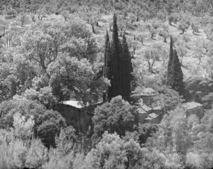 Kloster Kesariani / Kloster Kaisariani