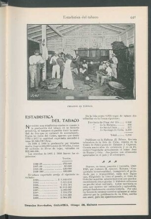 Estadística del tabaco.