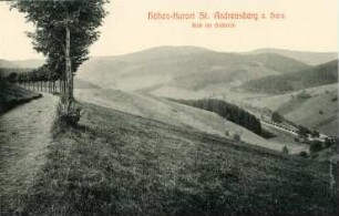 St. Andreasberg. Blick ins Siebertal