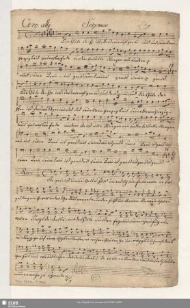 Die Güte des Herrn - Mus.3494-E-502a : V (2), Coro, orch, bc
