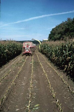 Fotografie: Ernteverfahren, Silomais, Parallelverfahren, Feldhäcksler selbstfahrend