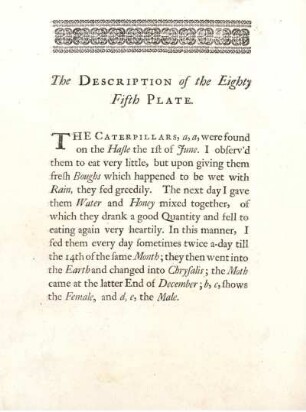 The Description of the Eighty Fifth Plate