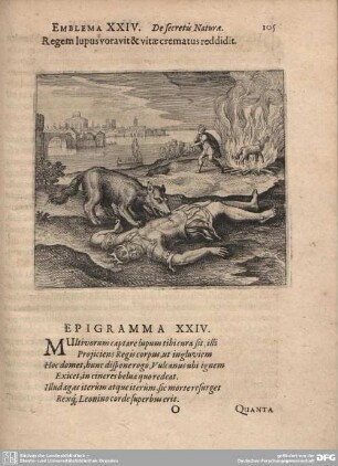 Emblema XXIV. De secretis Naturae.