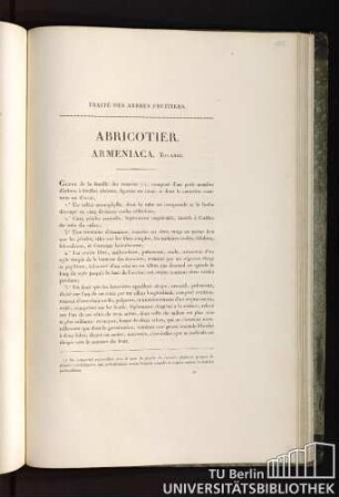 Traité des arbres fruitiers. Abricotier. Armeniaca. Tournef.