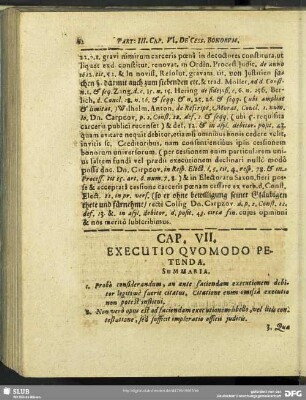 Cap. VII. Executio Quo Modo Petenda