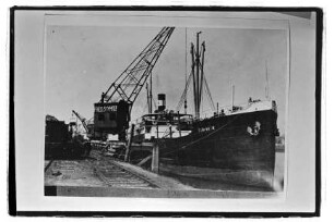 Elbing IX (1913)