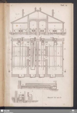 Taf. X (Fig. 47)