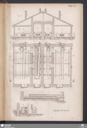 Taf. X (Fig. 47)