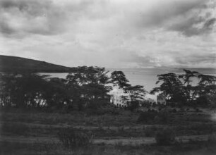 Der Naivashasee : Der Naivashasee nord-westlich von Nairobi