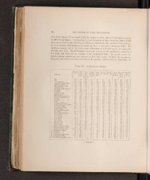 Table IV. - Australian - Males.
