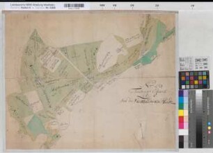 Bockhorst (Versmold) Teilung der Siekendicks Heide um 1780 o.M. (1 : 2400) 47 x 59 kol. Zeichnung Spez.Verz. Markenkarten X Nr. 122