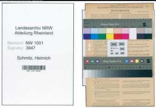 Entnazifizierung Heinrich Schmitz, geb. 20.02.1891 (Schuhmacher)