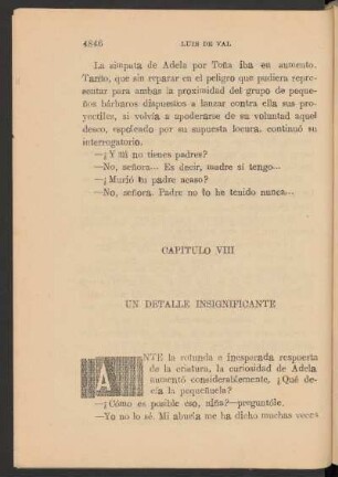 Capítulo VIII - Un detalle insignificante