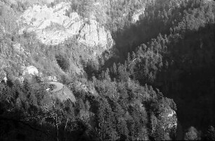 Bei Wittnau