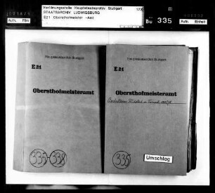 Badschlösser Wildbad und Teinach: Vorbereitungen in Teinach und Liebenzell für den Aufenthalt der Königin von Westfalen (Hofbaumeister Thouret); Ausstattung von Wildbad und Teinach, Mobiliarverzeichnisse, Verkauf von Möbeln, Verpachtung des Palais in Wildbad, "Lustanlagen" in Teinach