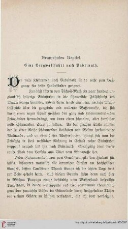 351-369 19. Kapitel: Eine Bergwallfahrt nach Badrinath
