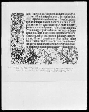 Missale mit Kalendarium aus Kloster Kaisheim — ---, Folio 27versoBordüre