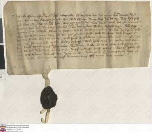 Alsfeld: Stephan, Pfarrer zu Alsfeld, bekennt, dass Wylte zu Alsfeld, seine Hofreite daselbst benannten Personen vermacht habe