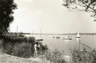Groß Särchen. Knappensee, Badestelle mit verschilftem Ufer bei Koblenz