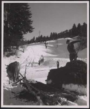 Bauer beim Verladen von Heu in der Nähe eines Skihangs