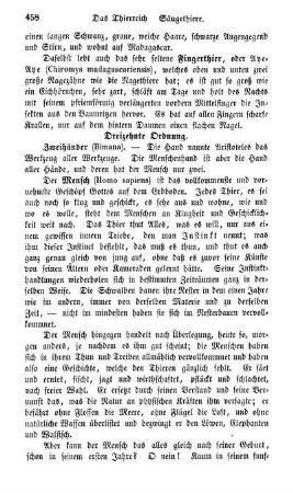Dreizehnte Ordnung. Zweihänder (Bimana)