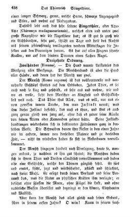 Dreizehnte Ordnung. Zweihänder (Bimana)
