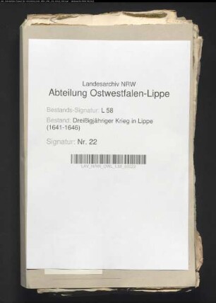 Raub und Plünderungen