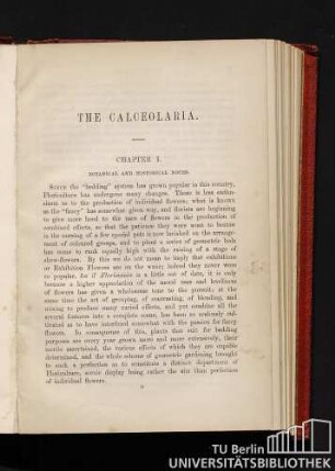 Chapter I. Botanical and historical notes.