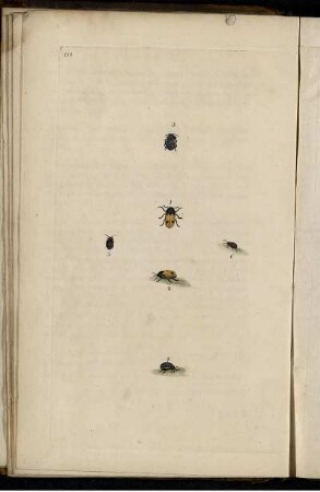 Pl. 111 [bis] Pl. 120 [Pl. siehe arbabische Paginierung]