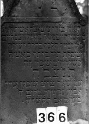 Grabstein 366 (Index: 99803578) Material: Sandstein Zustand: leicht verwittert Maße HxBxT: 115x56x10 cm Beschreibung: Stele mit Karniesbogen, profilierter Rand, Giebelfeld: Grabstein 366 (Detailaufnahme)
