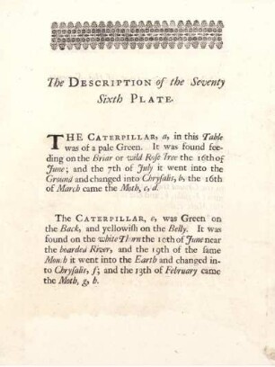 The Description of the Seventy Sixth Plate