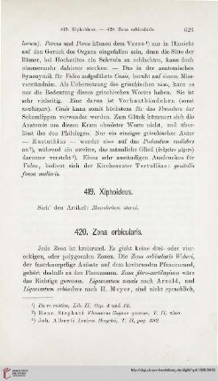 419. Xiphoideus