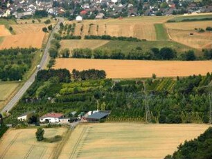 Malmeneich bei Elz