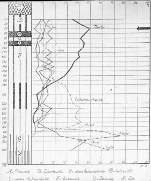 Pollendiagramm der Wasserburg Buchau