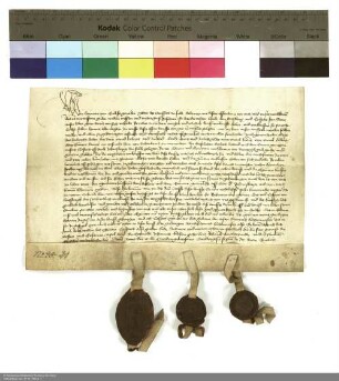 Hermann [von Buchenau], Abt von Fulda, bewilligt den Verkauf eines Guts in Wissels an den Dechanten und Konvent von Johannesberg