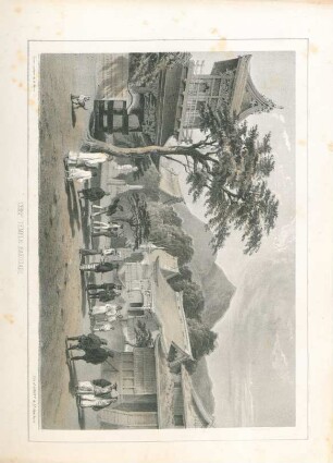 Chief Temple Hakodadi