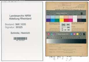 Entnazifizierung Heinrich Schmitz , geb. 09.08.1901 (Ingenieur)