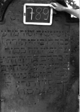 Grabstein 789 (Index: 100105102) Material: Sandstein Zustand: teilweise verwittert Maße HxBxT: 189x84x13 cm Beschreibung: Stele, eingezogener Rundbogenabschluss, eingetieftes Schriftfeld, im Bogenfeld Akanthus-Ornament in einem Gefäß (Schale) Symbolik: Akanthus: Grabstein 789 (Detailaufnahme)