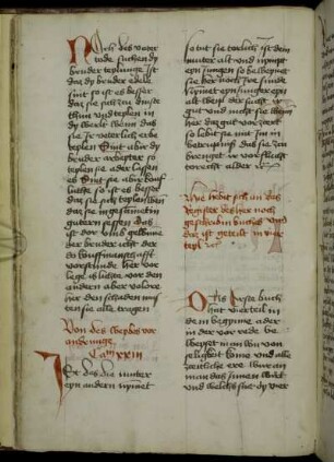 Johannes von Vippach: 'Katherina divina' (G)