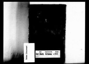 Gerichtshandels- und Konsensbuch von Burgberg