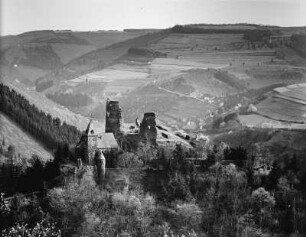 Waldhof-Falkenstein. Burg Falkenstein (Ruine) (1101/1150? und 1679 zerstört)