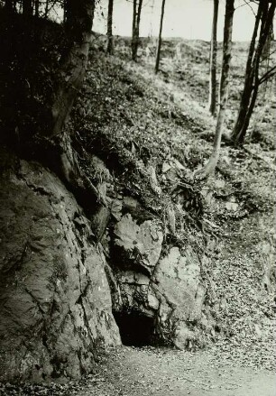 Rabenauer Grund, Osterzgebirge, Versuchsstollen der Höckendorfer Herren von Theler