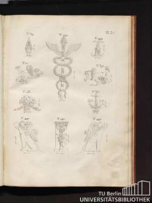 Pl. 35.