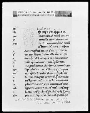 Augustinus, Enarrationes in Psalmos 1-50 — Initiale D, Folio 20 verso