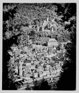 Blick aus Richtung Wartturm auf Wertheimer Altstadt mit Burg und Spitzem Turm