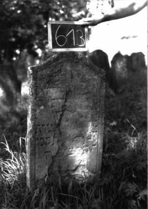 Grabstein 613 (Index: 100105020) Material: Sandstein Zustand: stark verwittert, abgeblättert, weitgehender Textverlust Maße HxBxT: 96x48x8 cm Beschreibung: Stele, Konvexbogenabschluss, Schriftfeld eingetieft: Grabstein 613