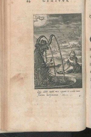 [VIII.] Quis dabit capiti meo aquam et oculis meis fontem lacrymarum? Hierem. 9.